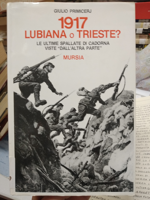 Copertina di 1917 Lubiana o Trieste? Le ultime spallate di Cadorna viste "dall'altra parte"